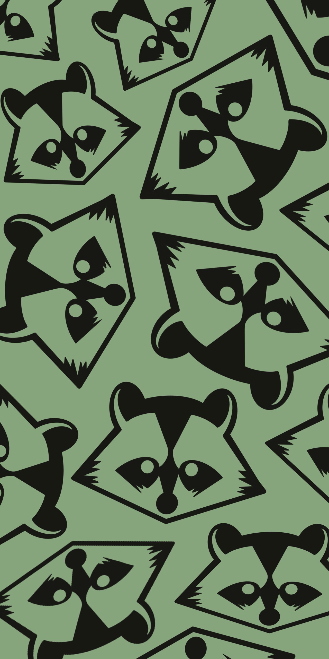 Raccoon Phone Wallpapers