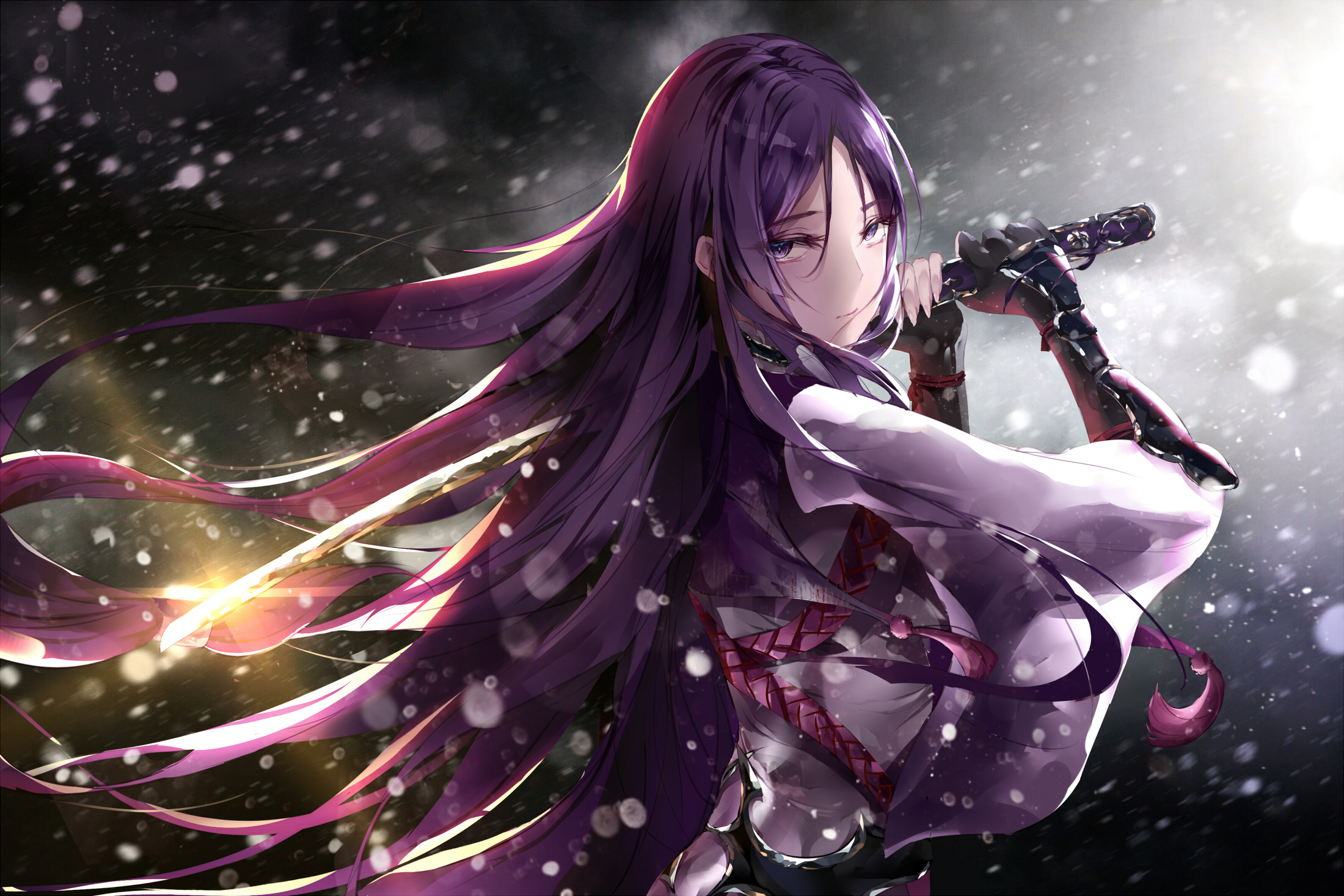 Raikou Hd Wallpapers