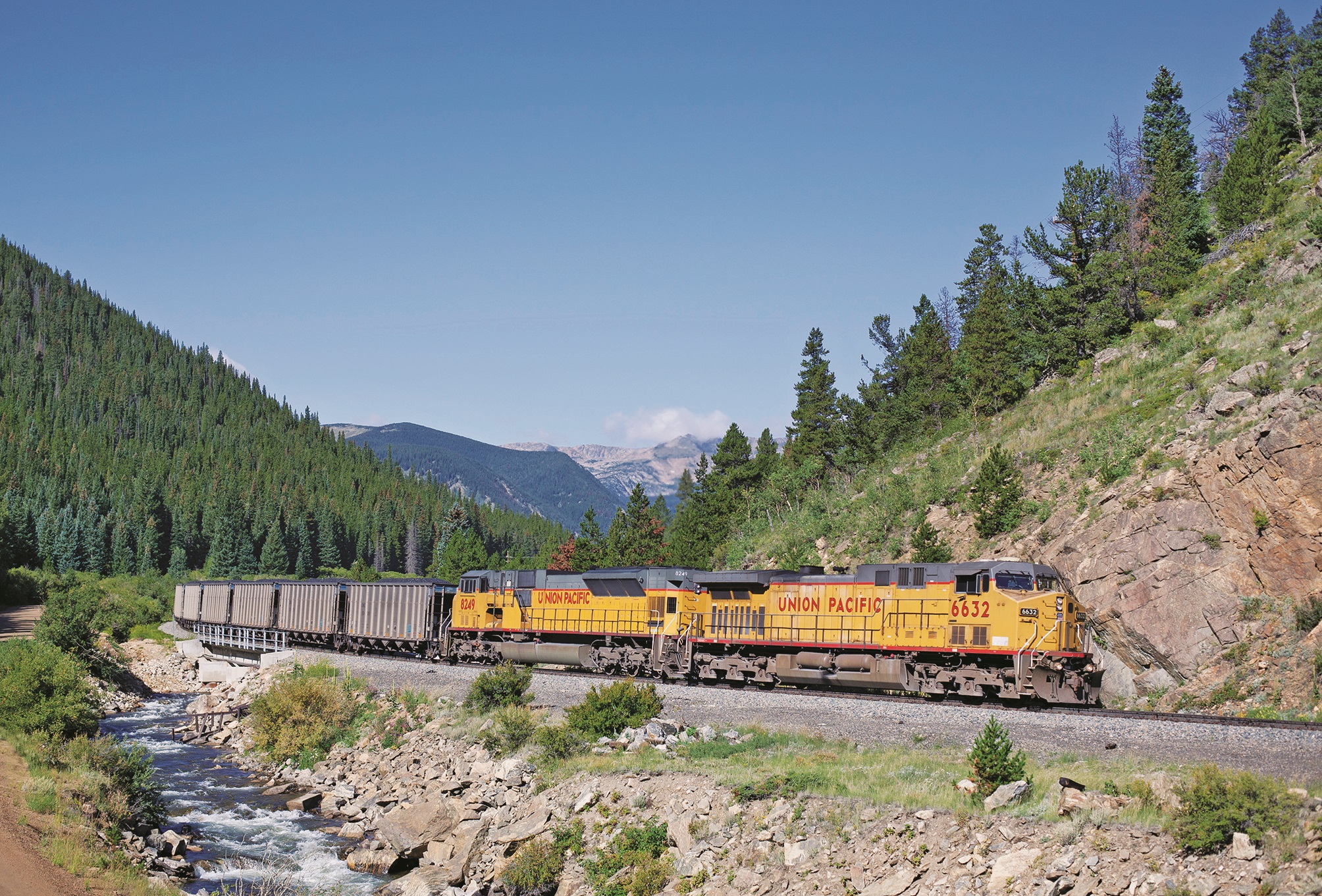 Railroad Forest Surrounding Wallpapers