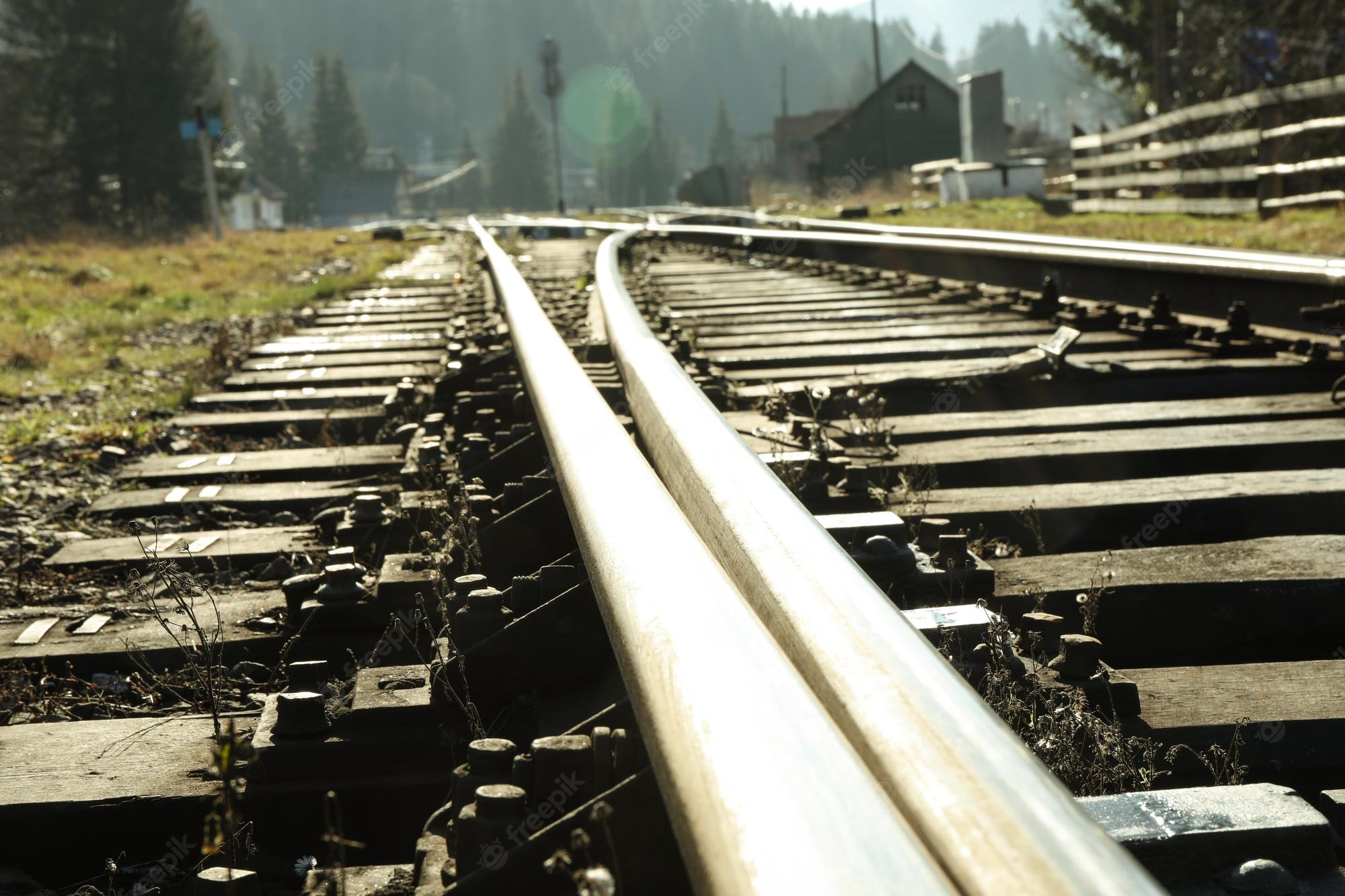 Railroad Forest Surrounding Wallpapers