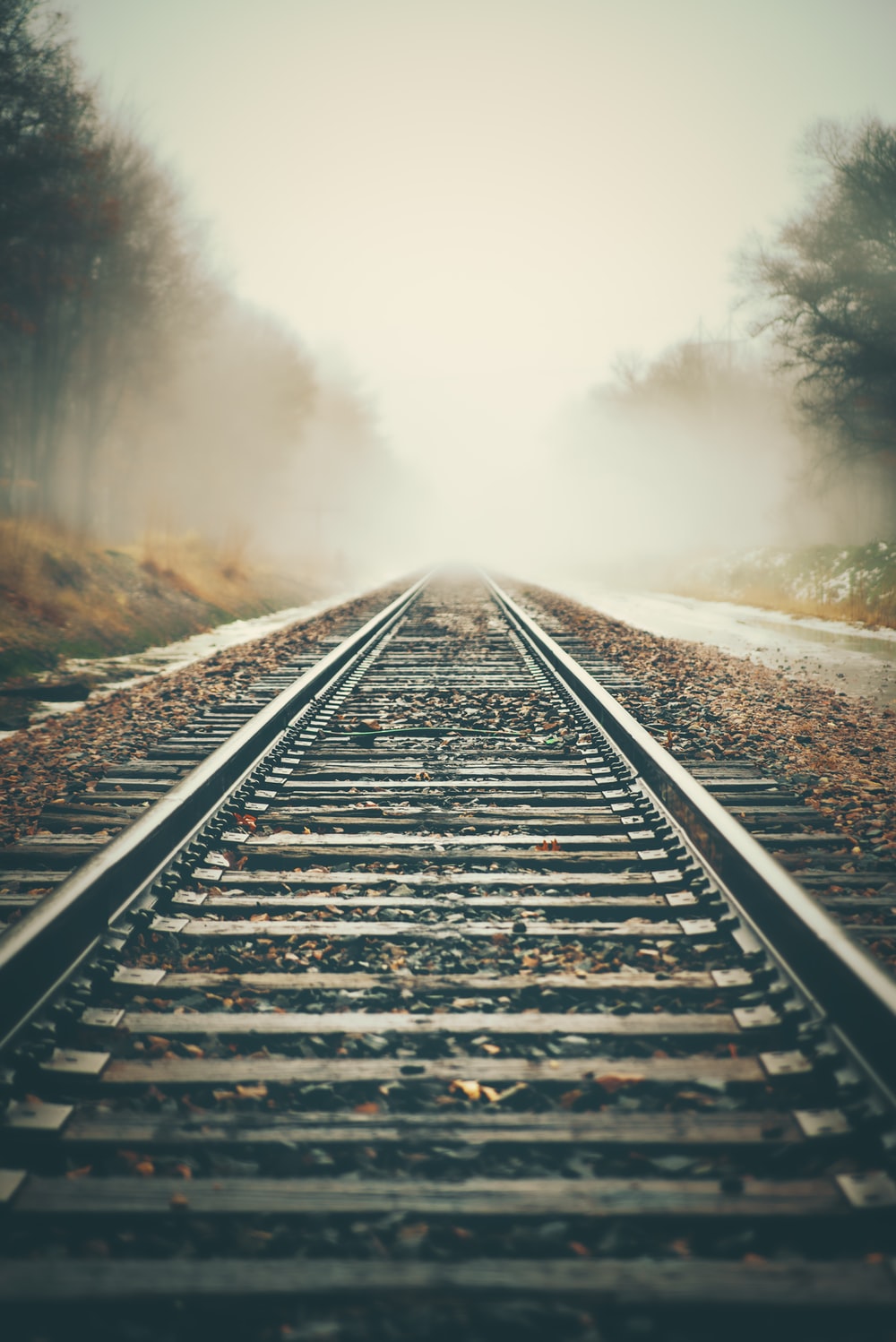 Railway Tracks Wallpapers