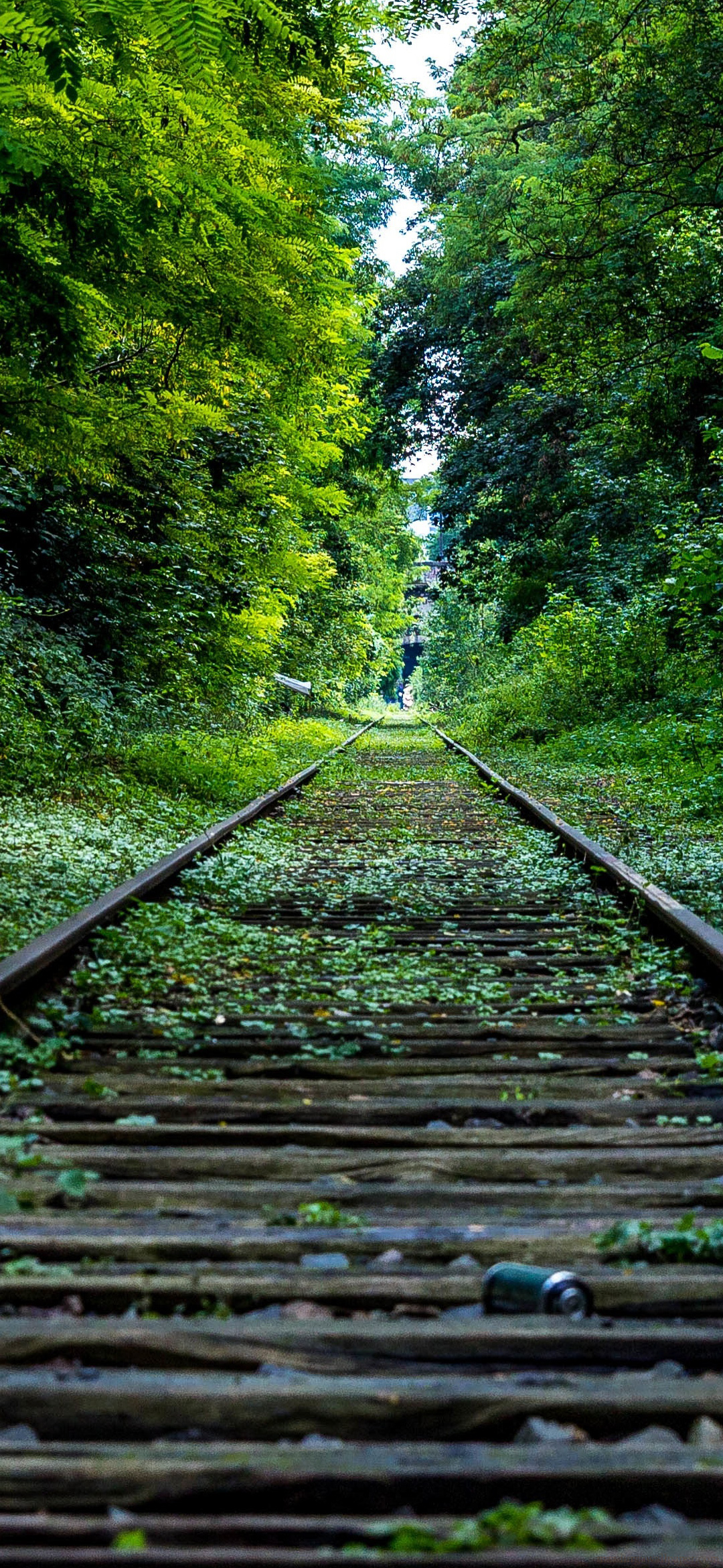 Railway Tracks Wallpapers