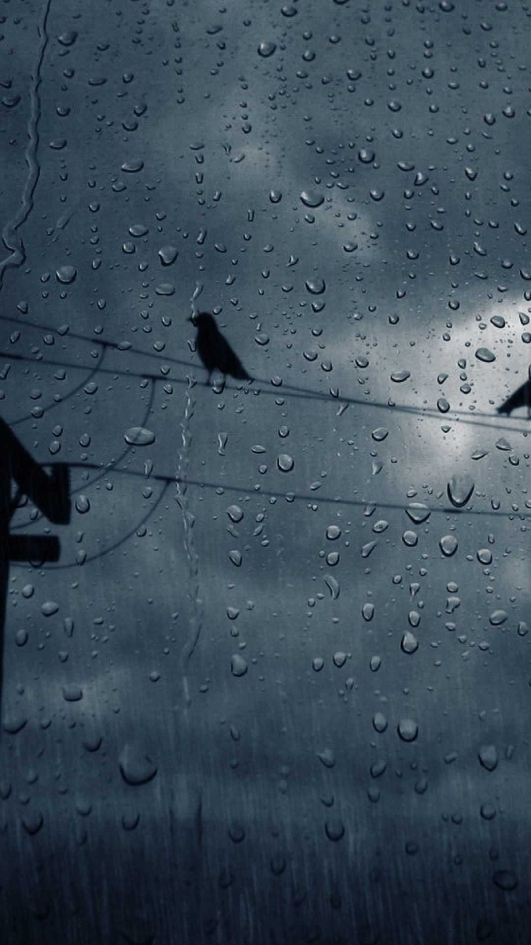 Rain Phone Wallpapers