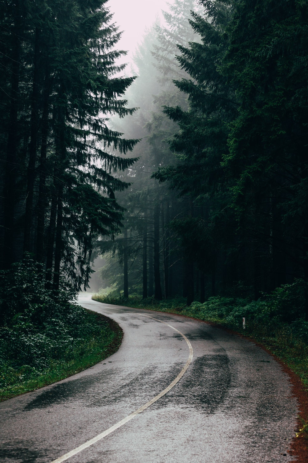 Rain Road Wallpapers