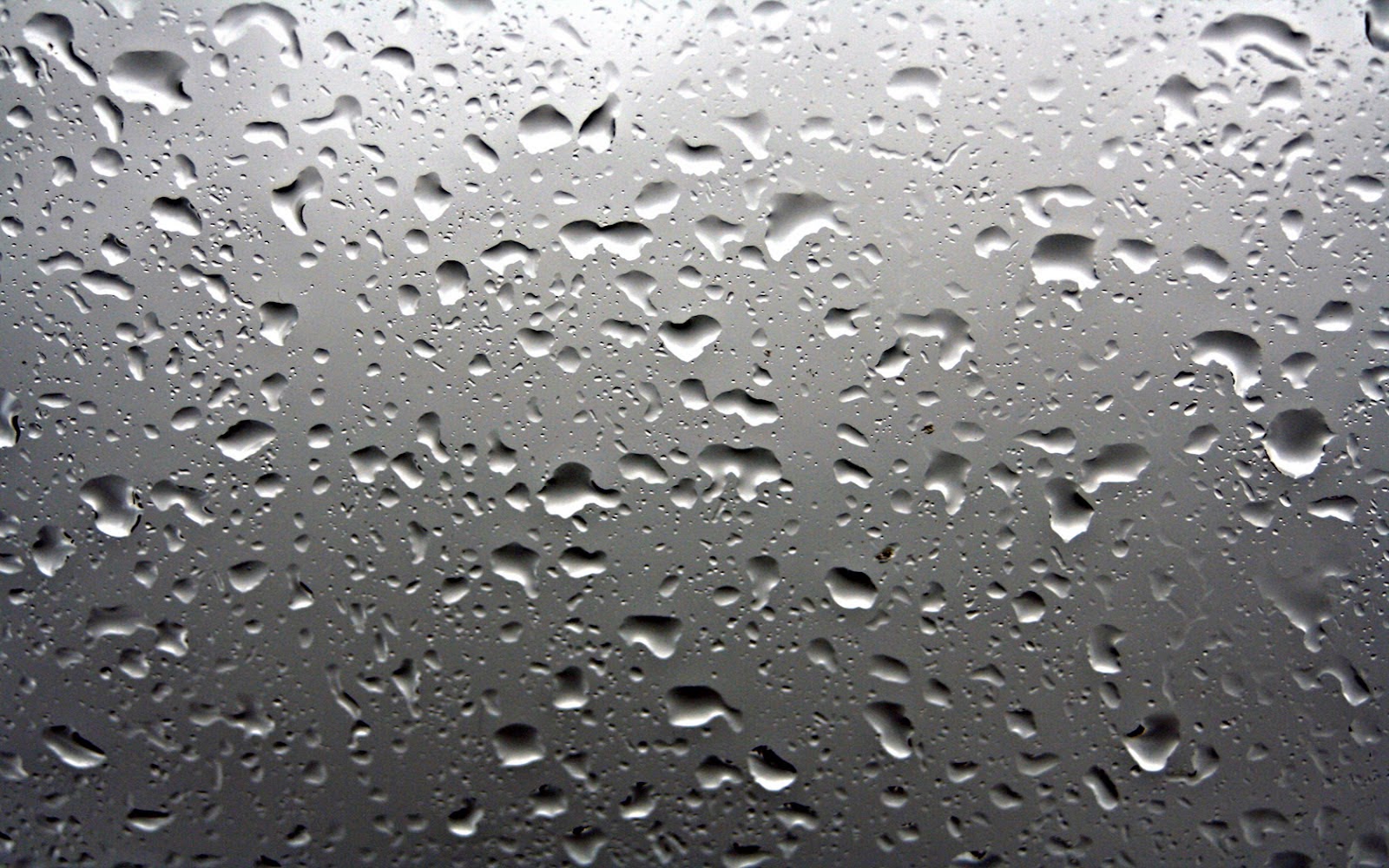 Rain Tumblr Background