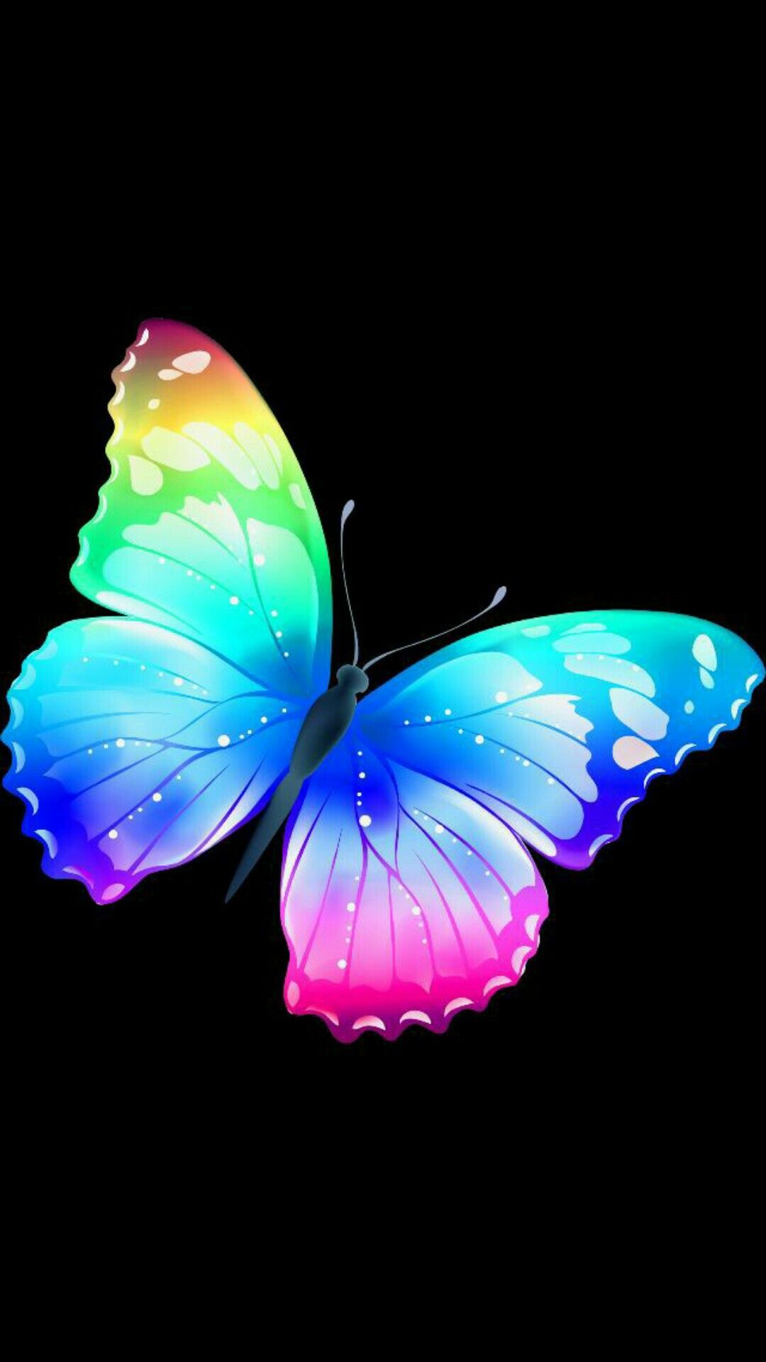 Rainbow Butterfly Wallpapers