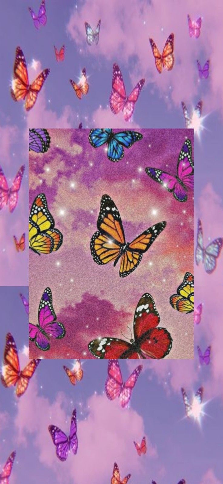 Rainbow Butterfly Wallpapers