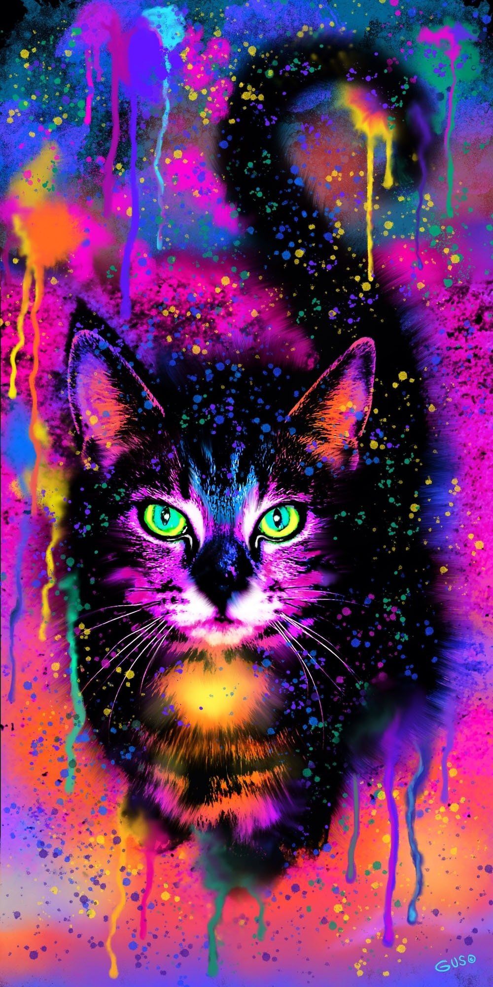 Rainbow Cat Wallpapers