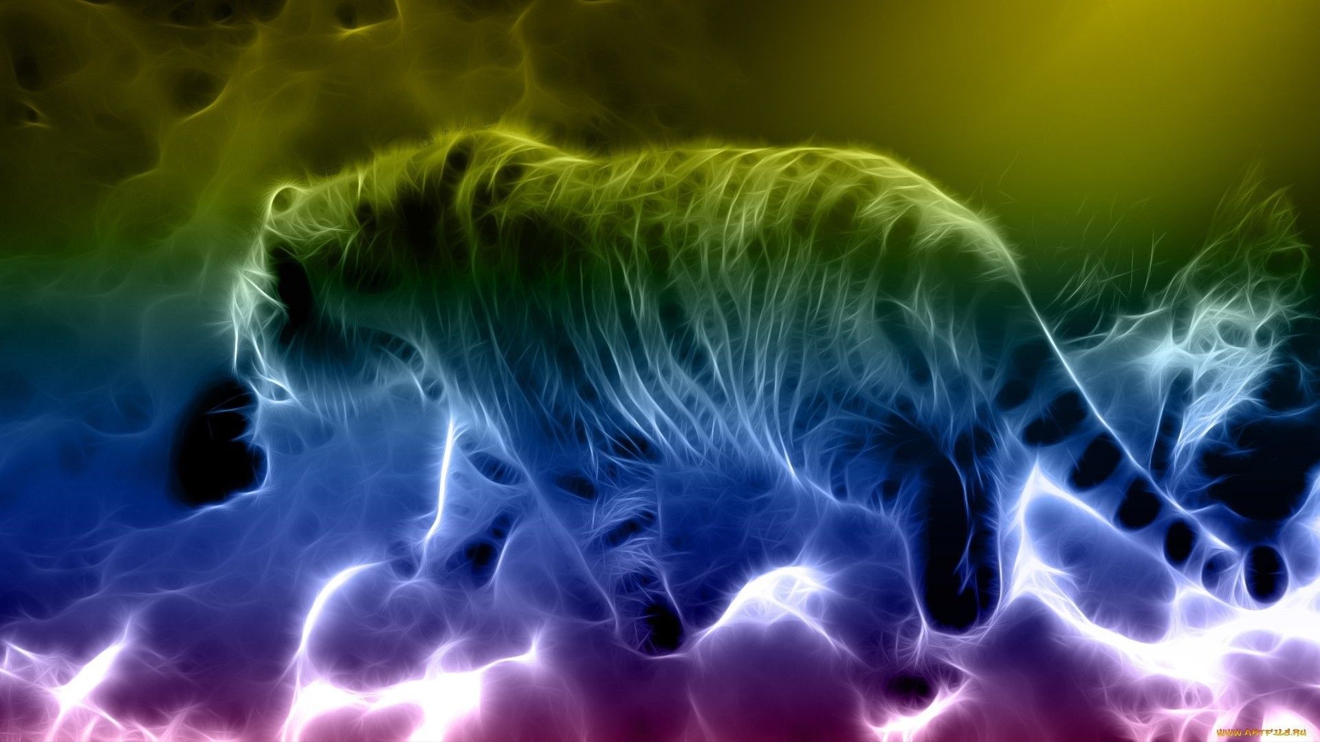 Rainbow Cat Wallpapers