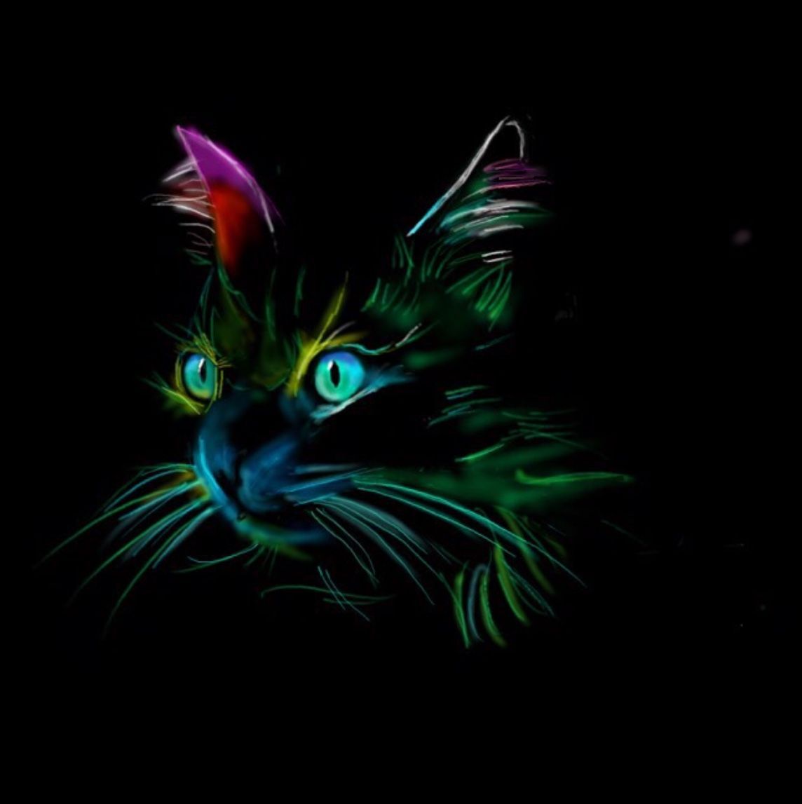 Rainbow Cat Wallpapers