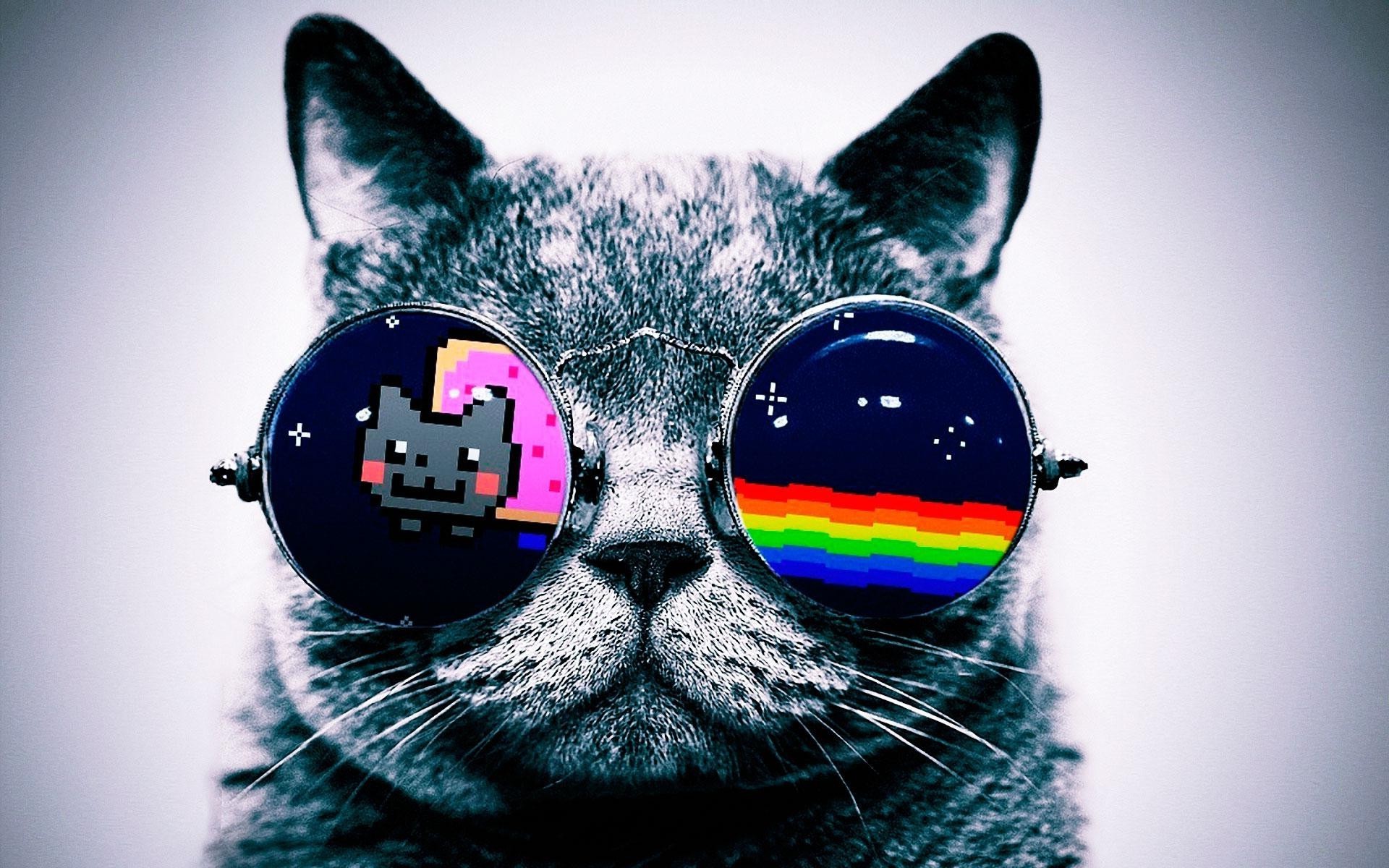 Rainbow Cat Wallpapers