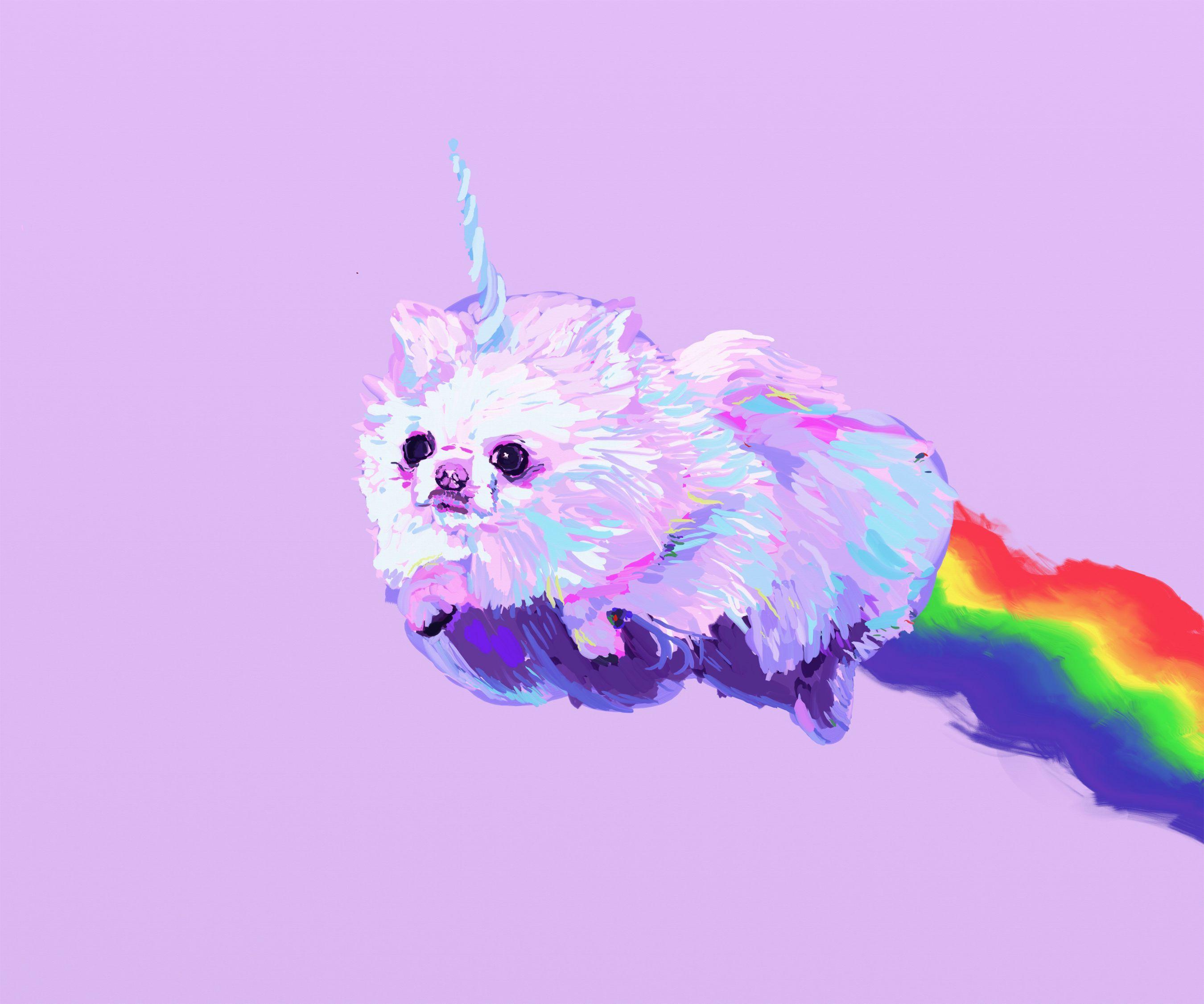 Rainbow Dog Wallpapers