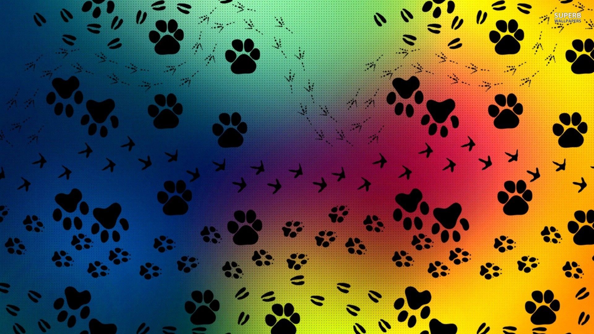 Rainbow Dog Wallpapers