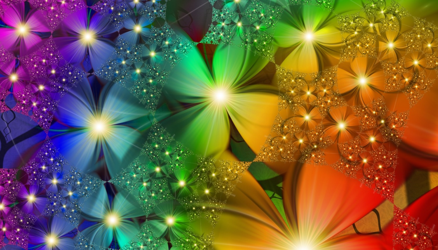 Rainbow Flowers Wallpapers