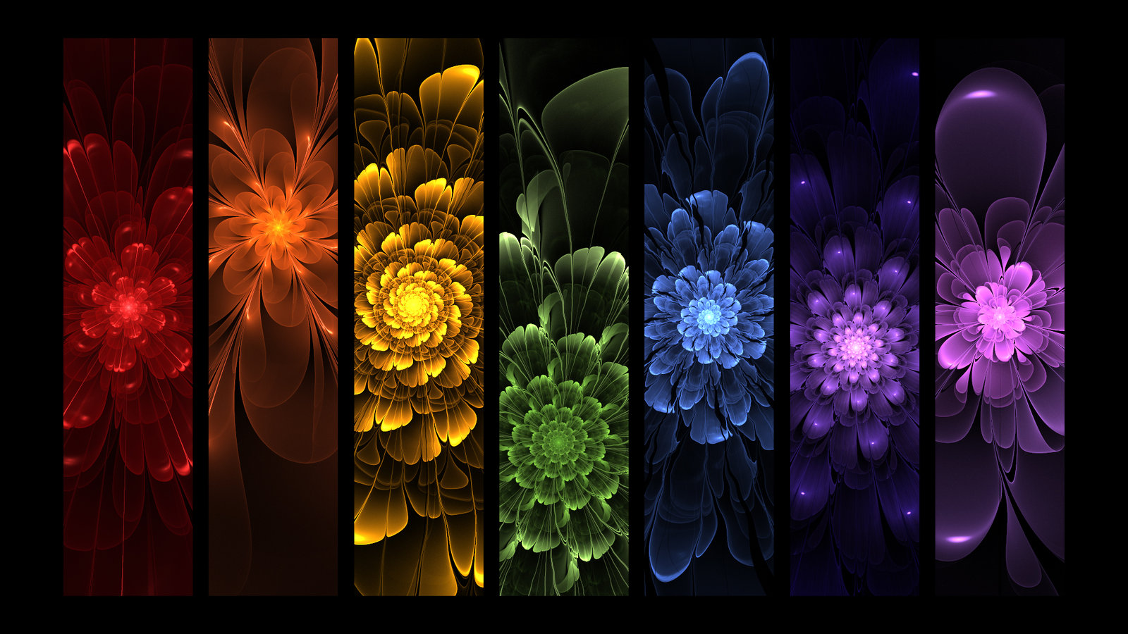 Rainbow Flowers Wallpapers