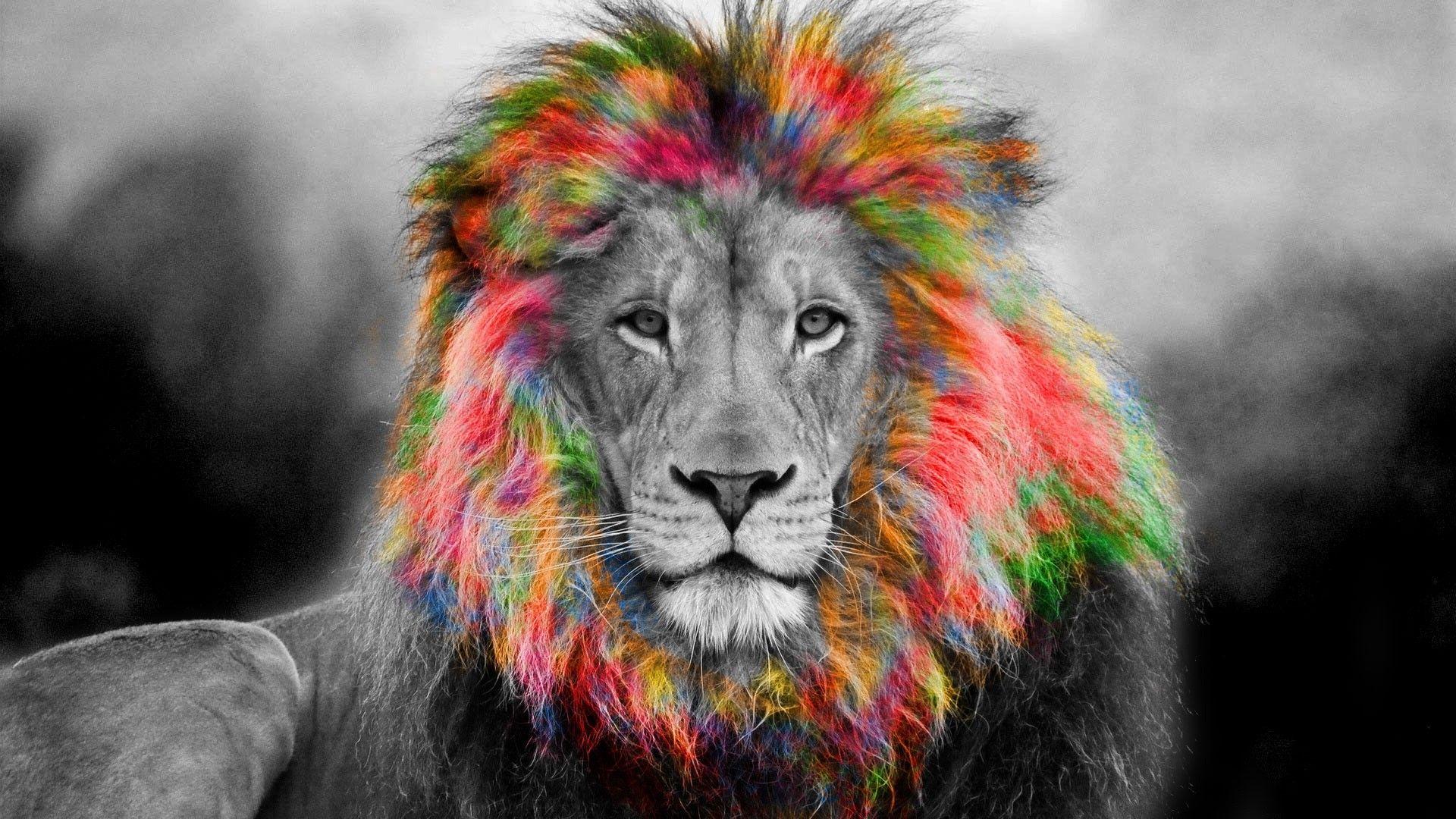 Rainbow Lion Background