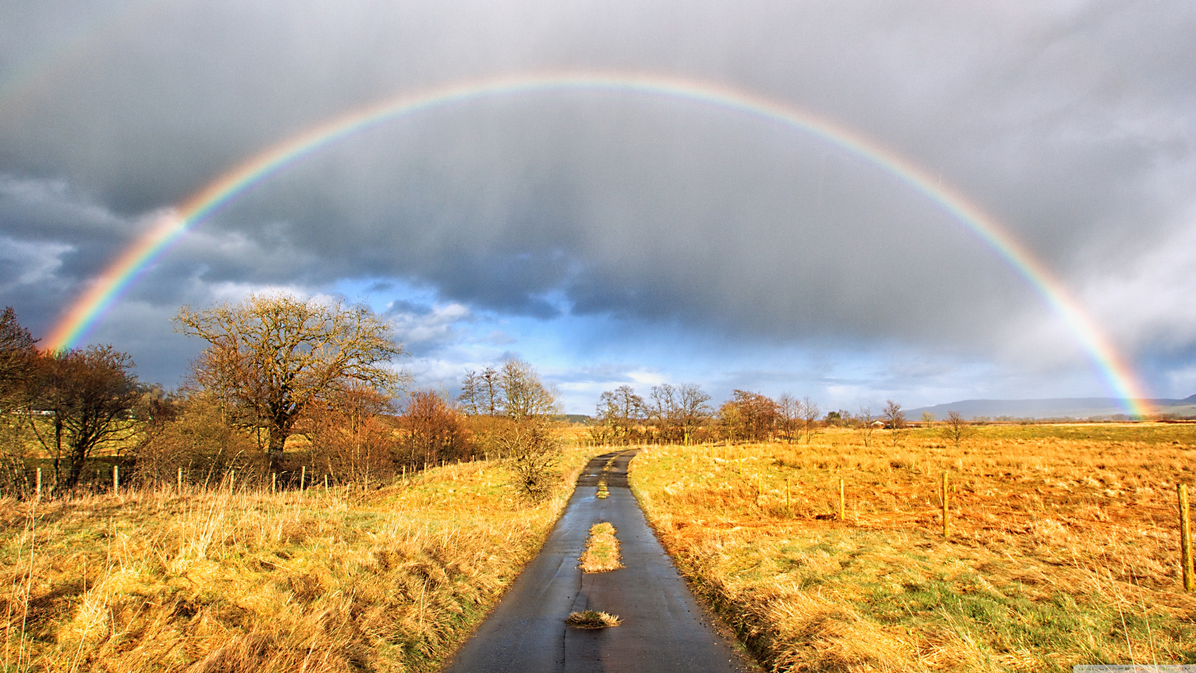 Rainbow Path Wallpapers