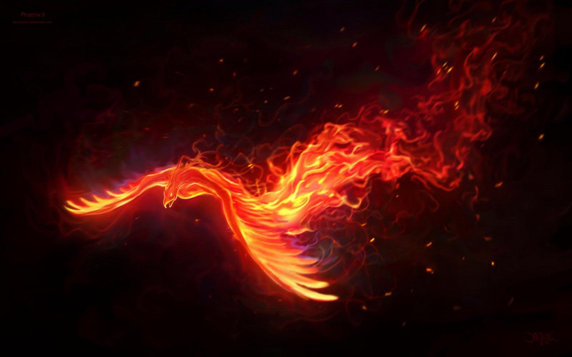 Rainbow Phoenix Wallpapers