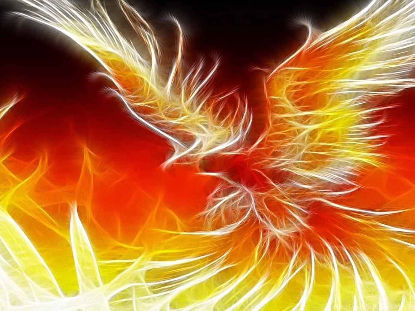 Rainbow Phoenix Wallpapers