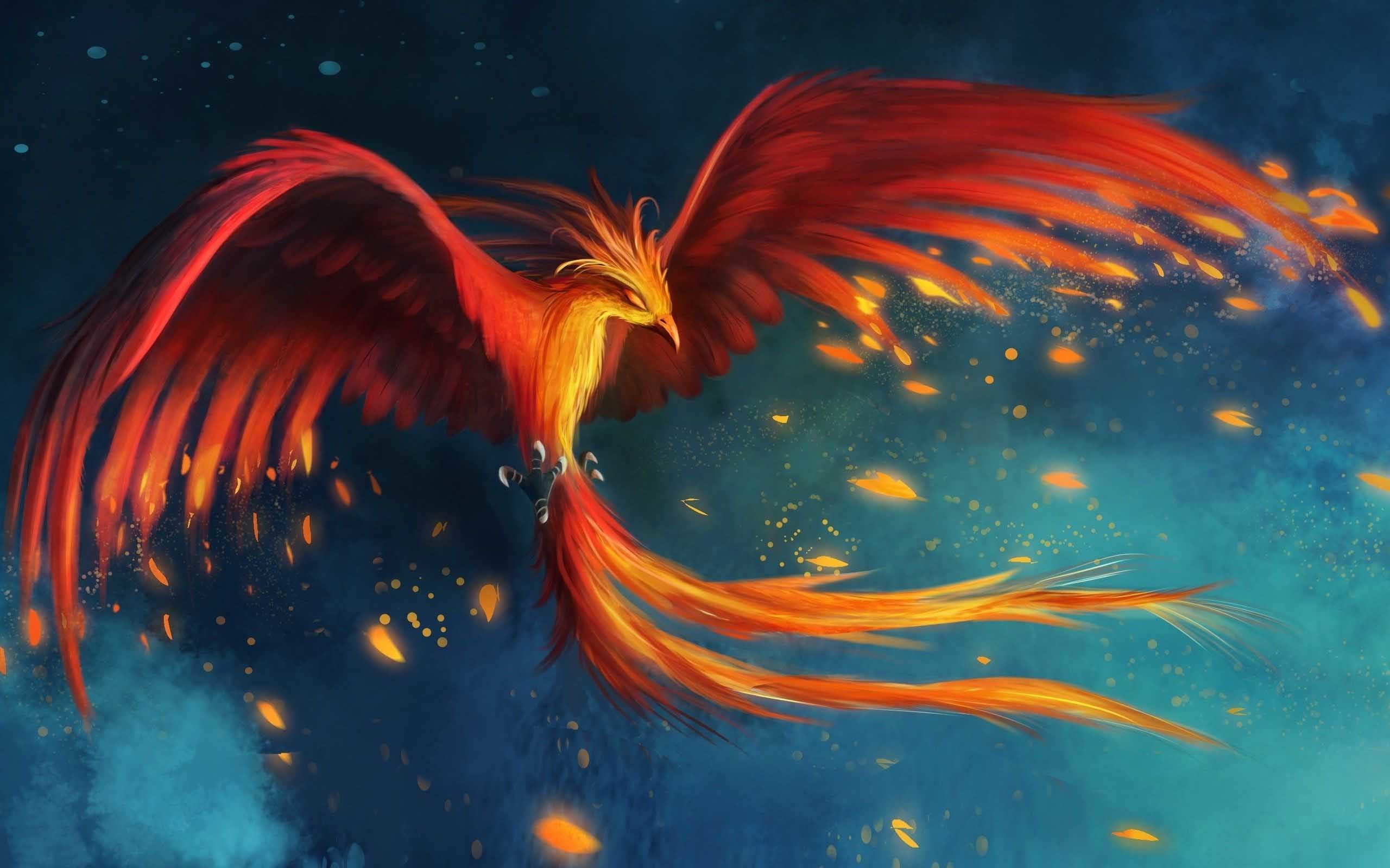 Rainbow Phoenix Wallpapers