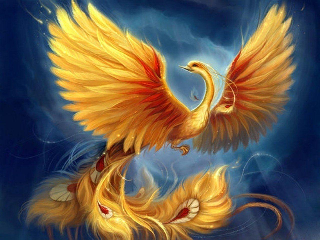 Rainbow Phoenix Wallpapers