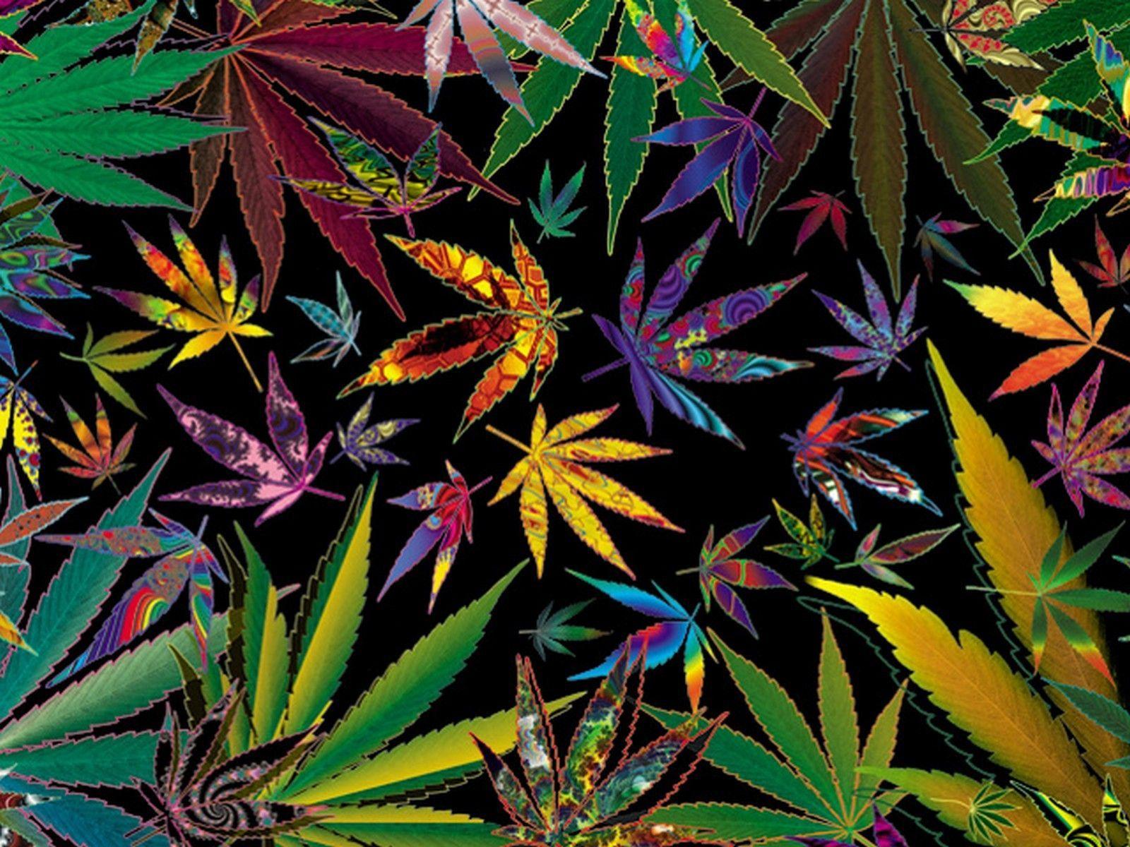 Rainbow Weed Wallpapers