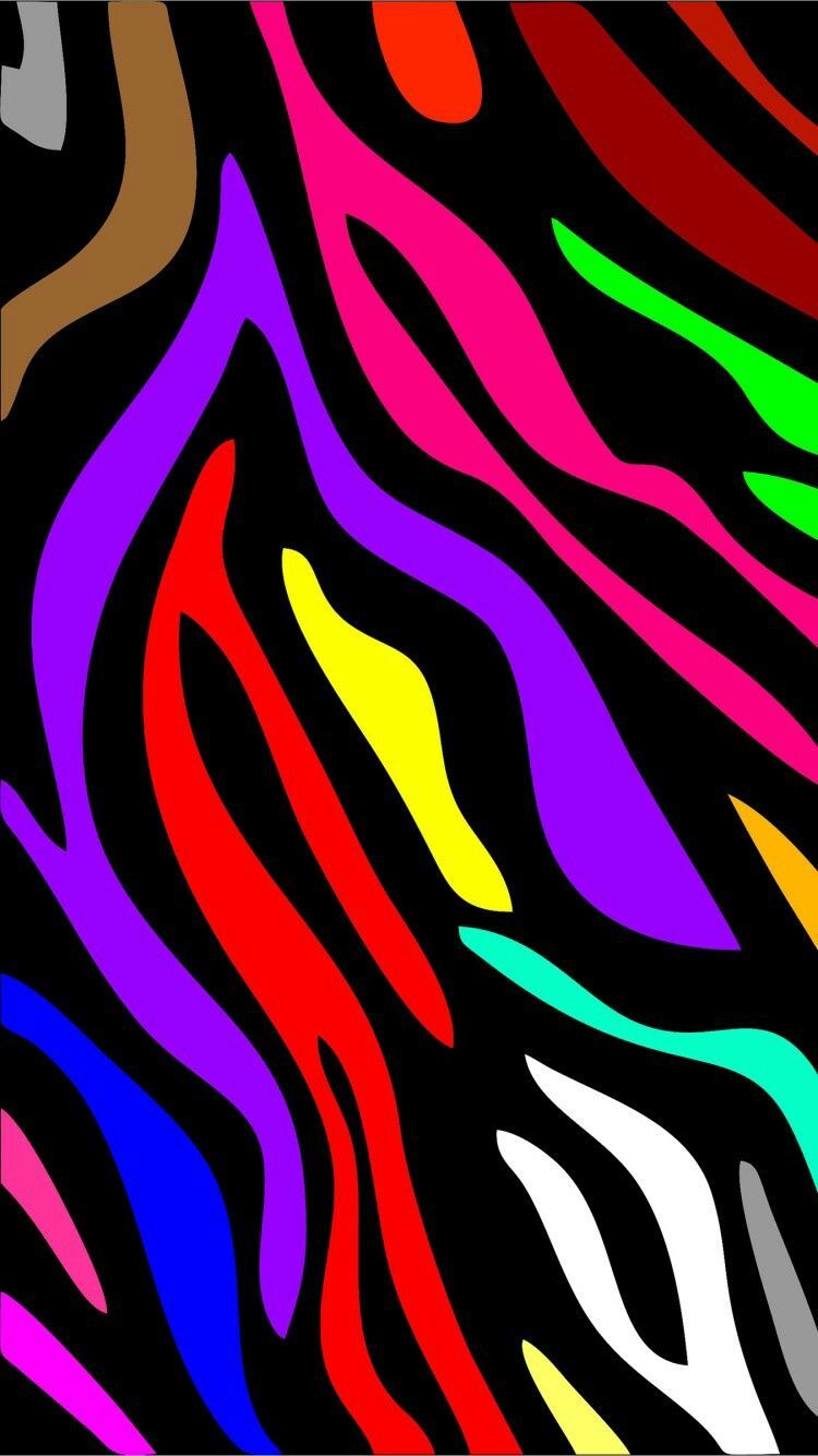 Rainbow Zebra Wallpapers