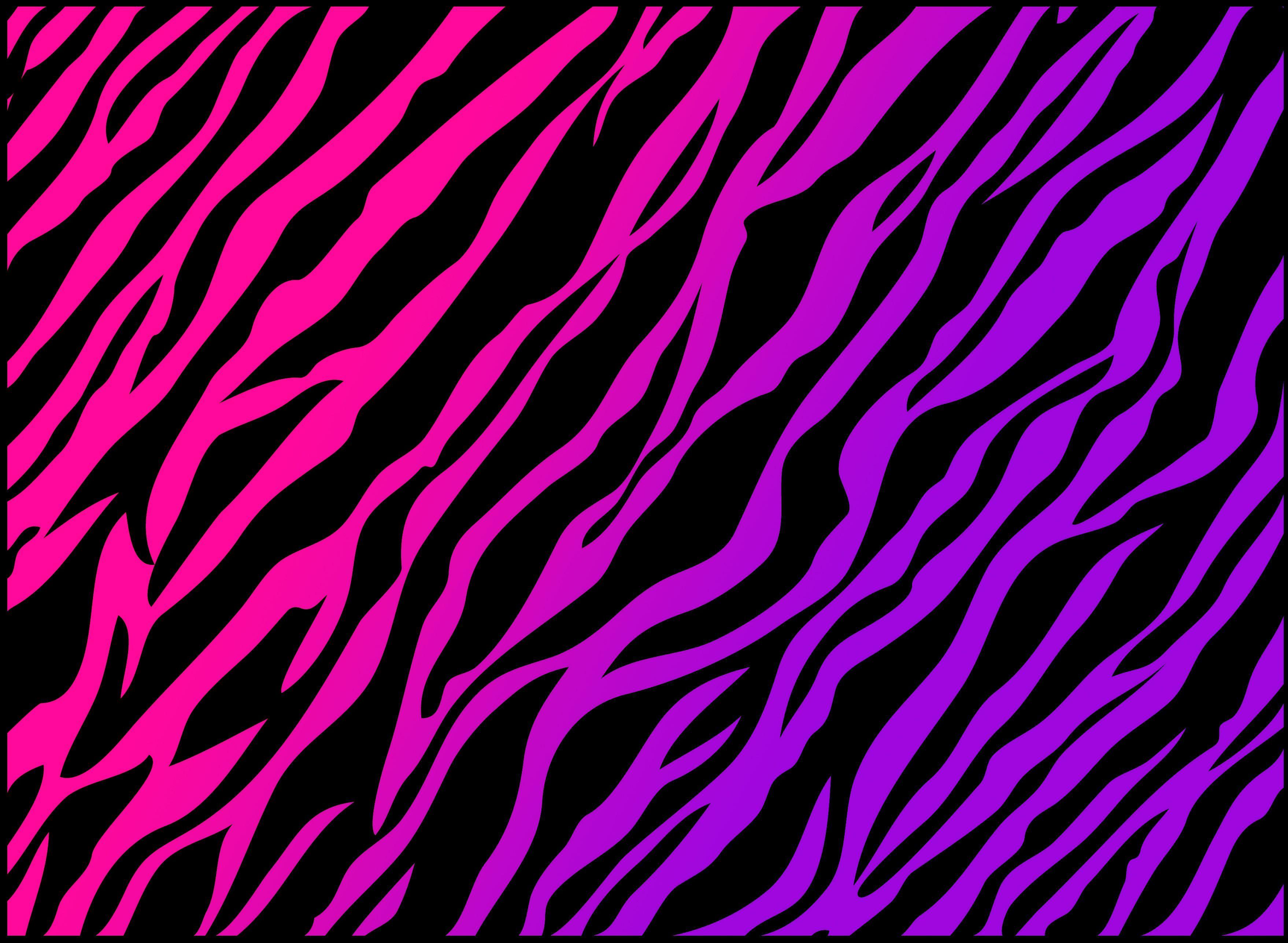 Rainbow Zebra Wallpapers