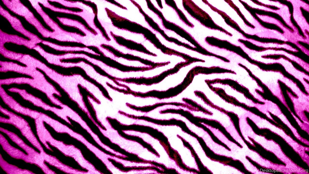 Rainbow Zebra Wallpapers