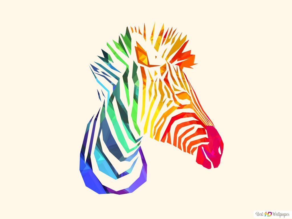 Rainbow Zebra Wallpapers