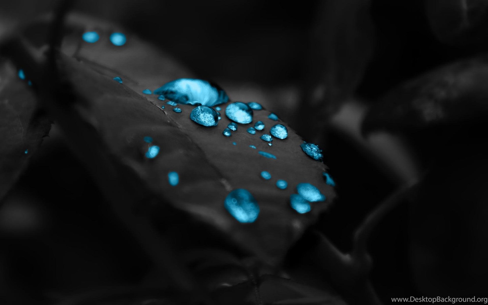 Raindrops Backgrounds