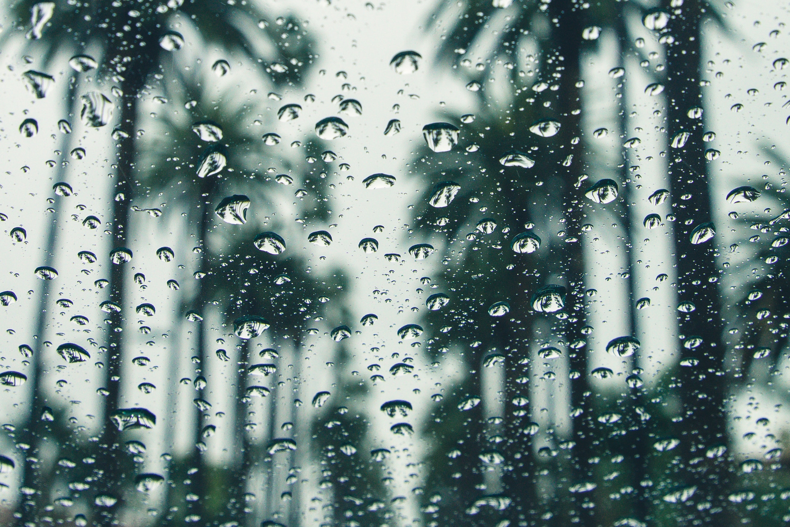 Rainfall Screensaver Wallpapers