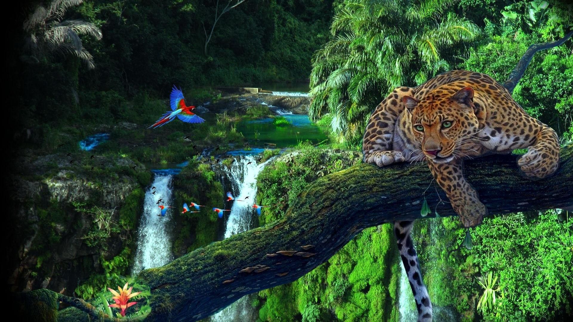 Rainforest Desktop Background