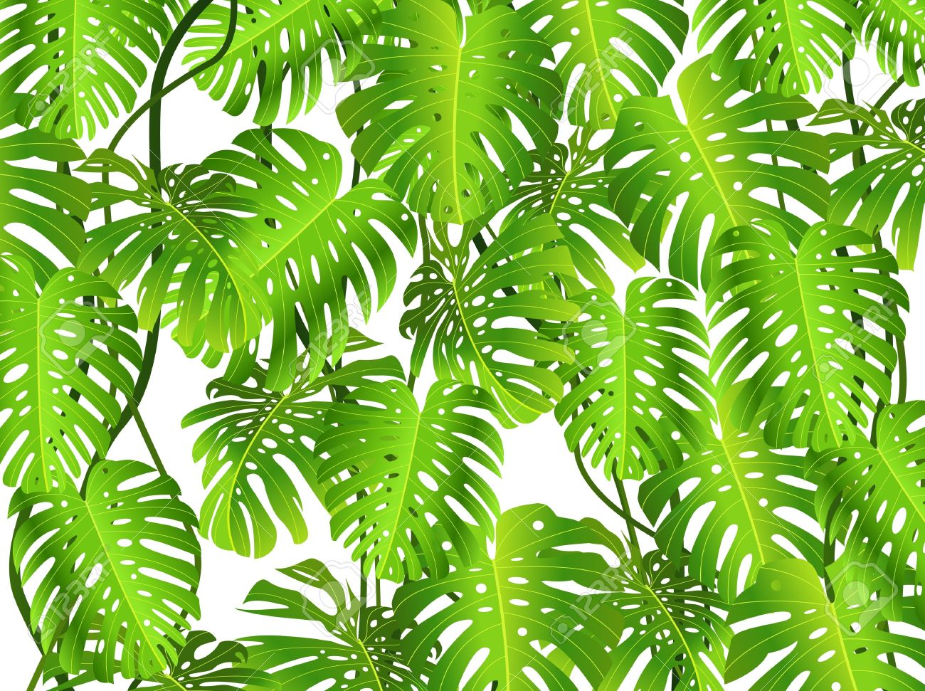 Rainforest Leaves Background