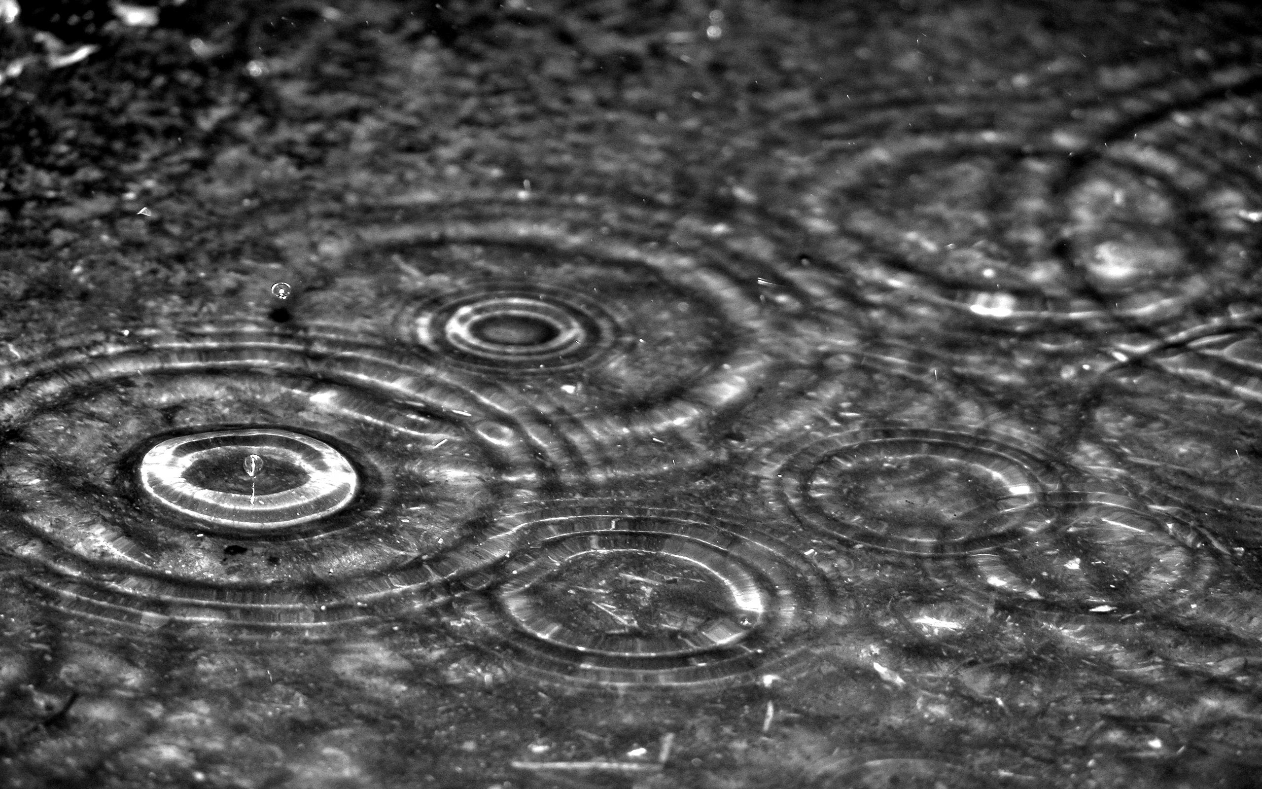 Raining Black And White Wallpapers