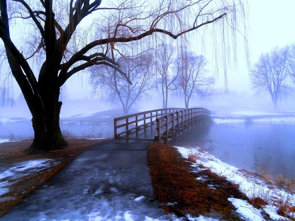 Raining In Winter Wallpapers