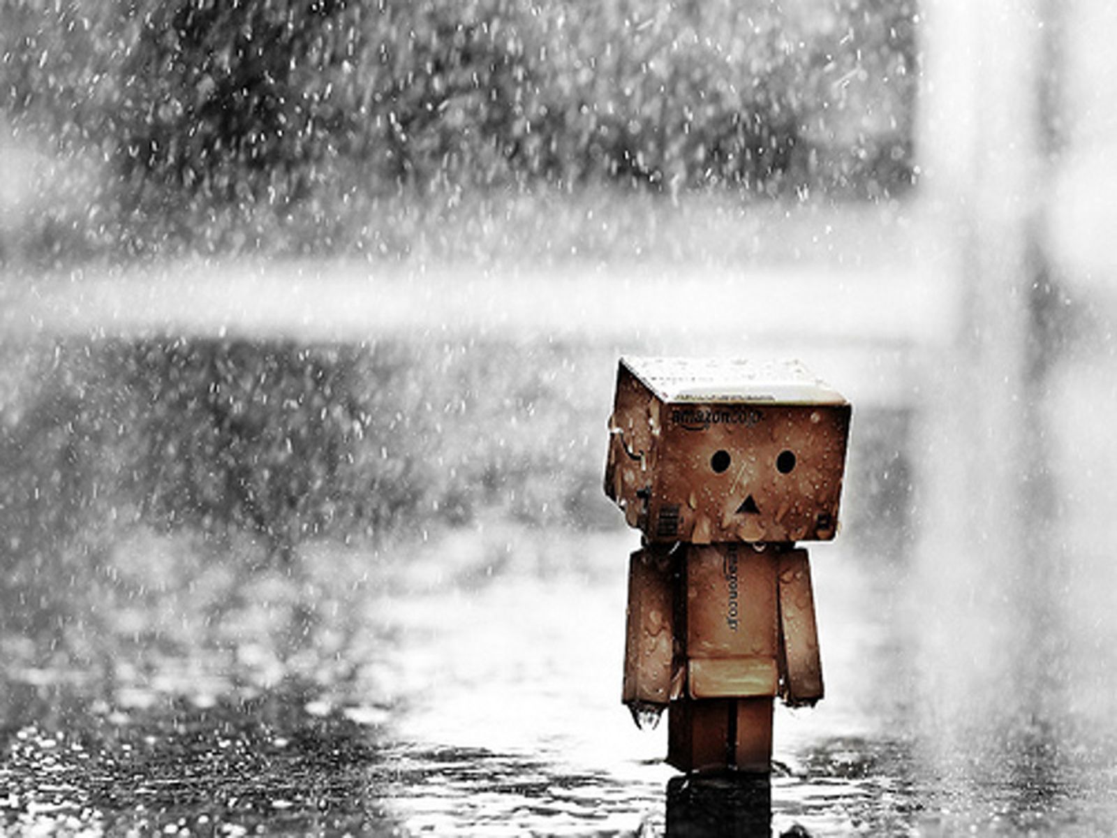 Rainy Boy Wallpapers