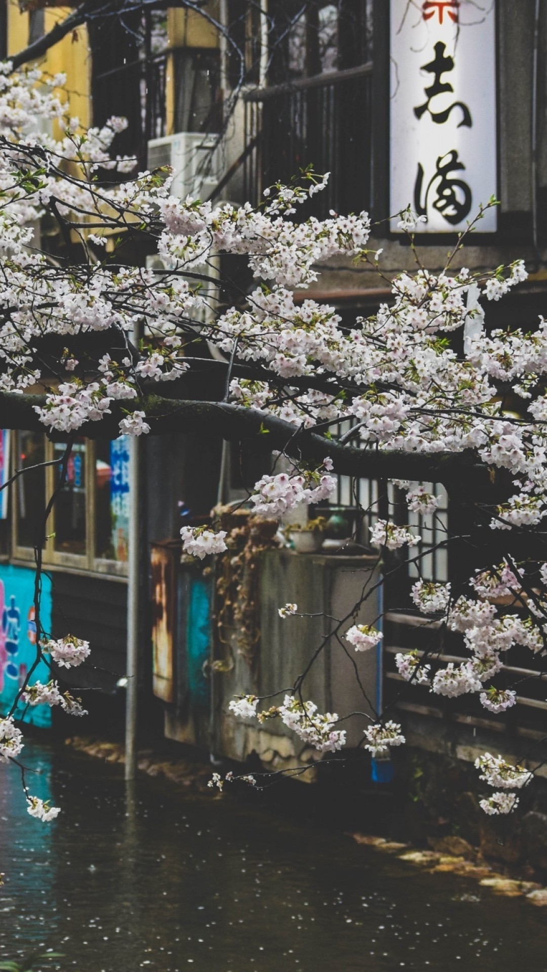 Rainy Japan Wallpapers