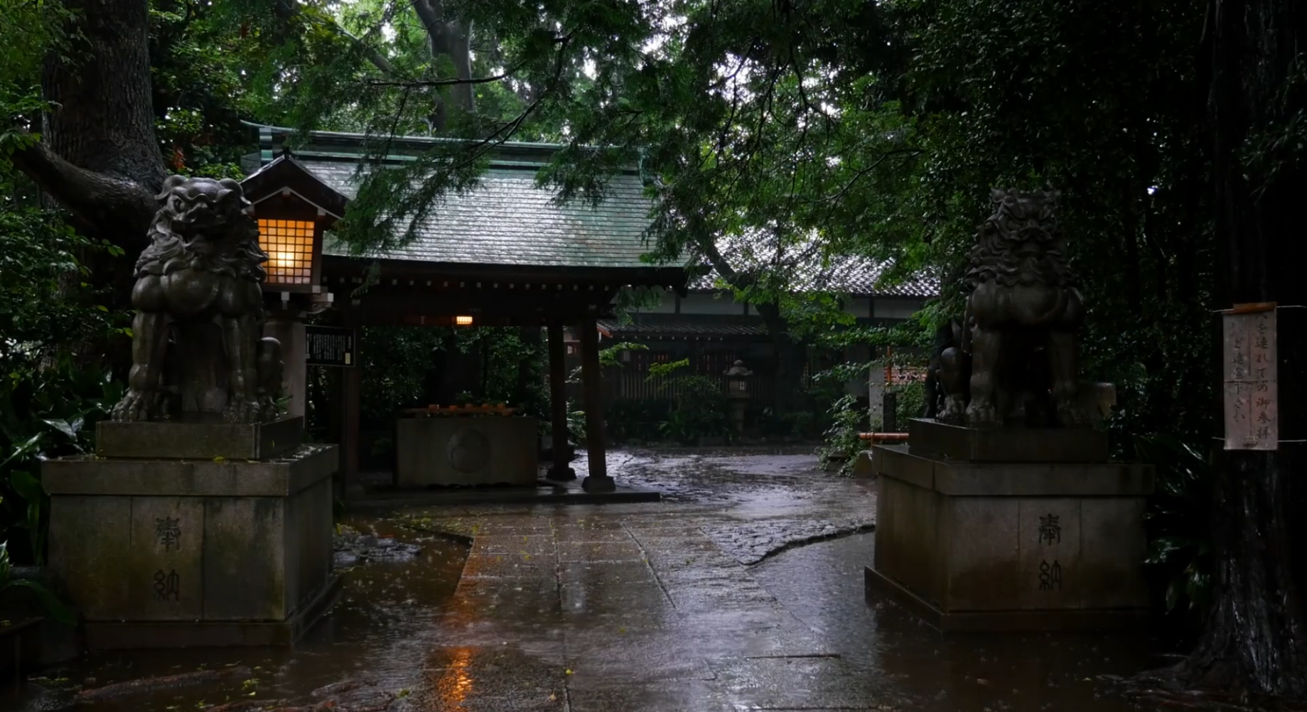 Rainy Japan Wallpapers