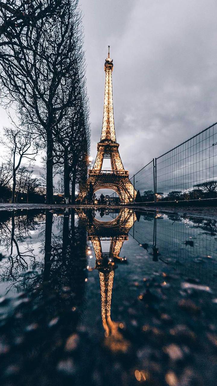 Rainy Paris Live Wallpapers