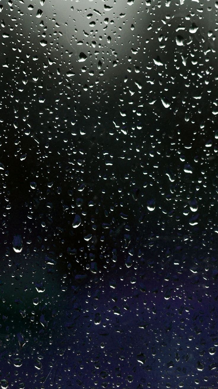 Rainy Phone Wallpapers