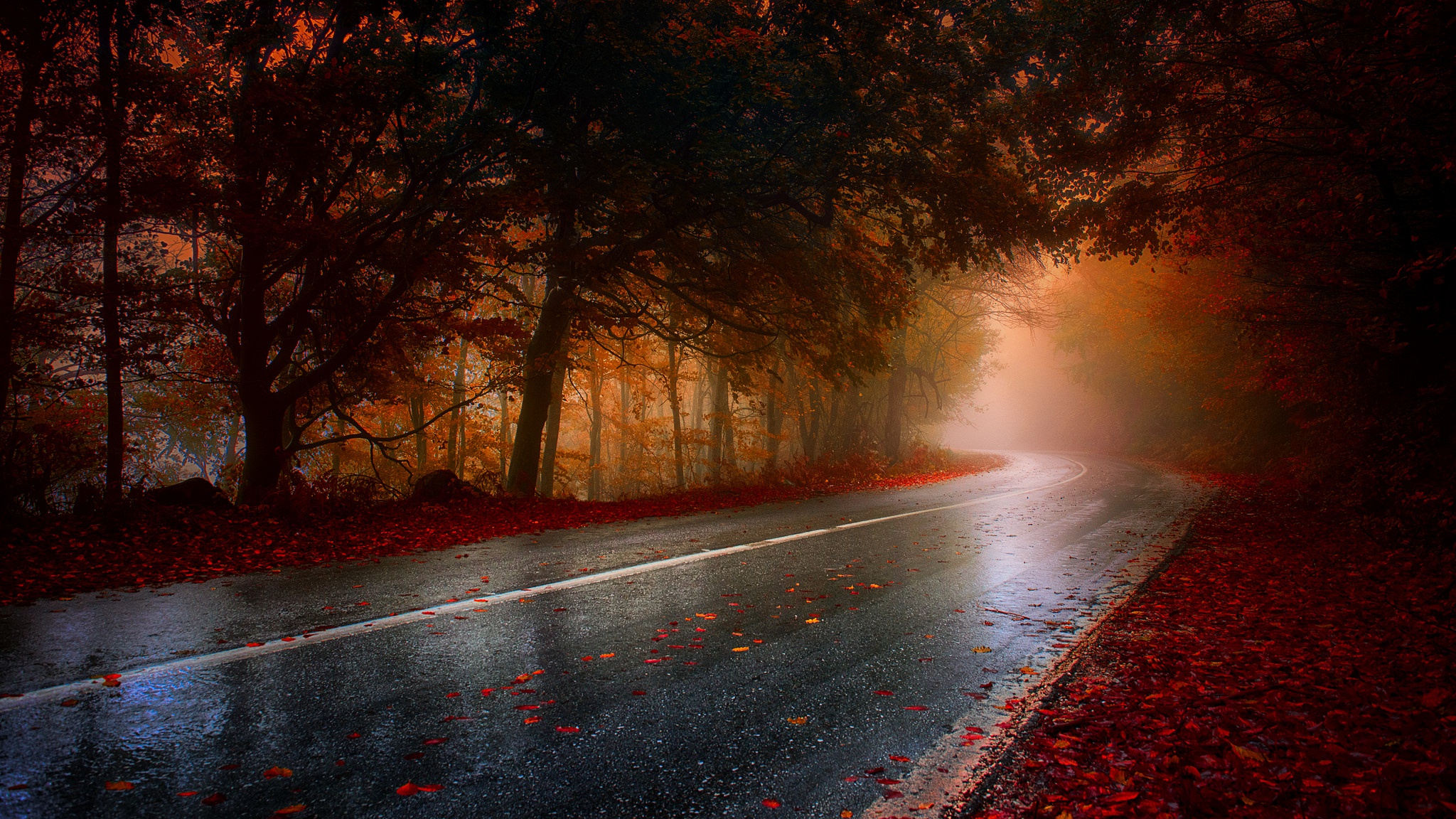 Rainy Road Wallpapers