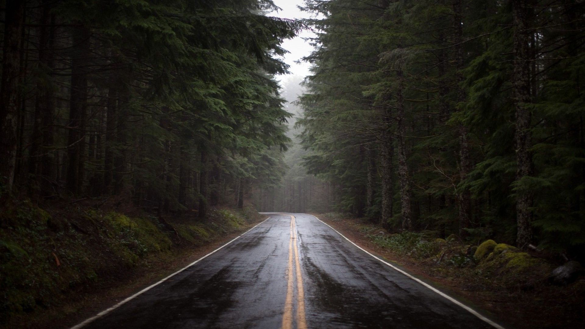 Rainy Road Wallpapers