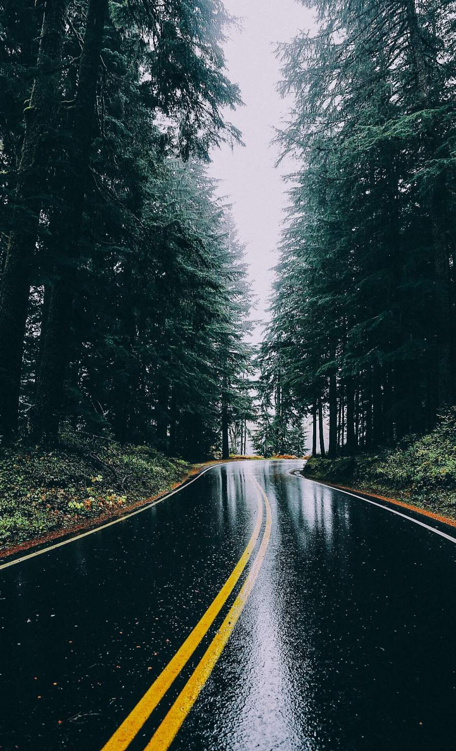 Rainy Road Wallpapers