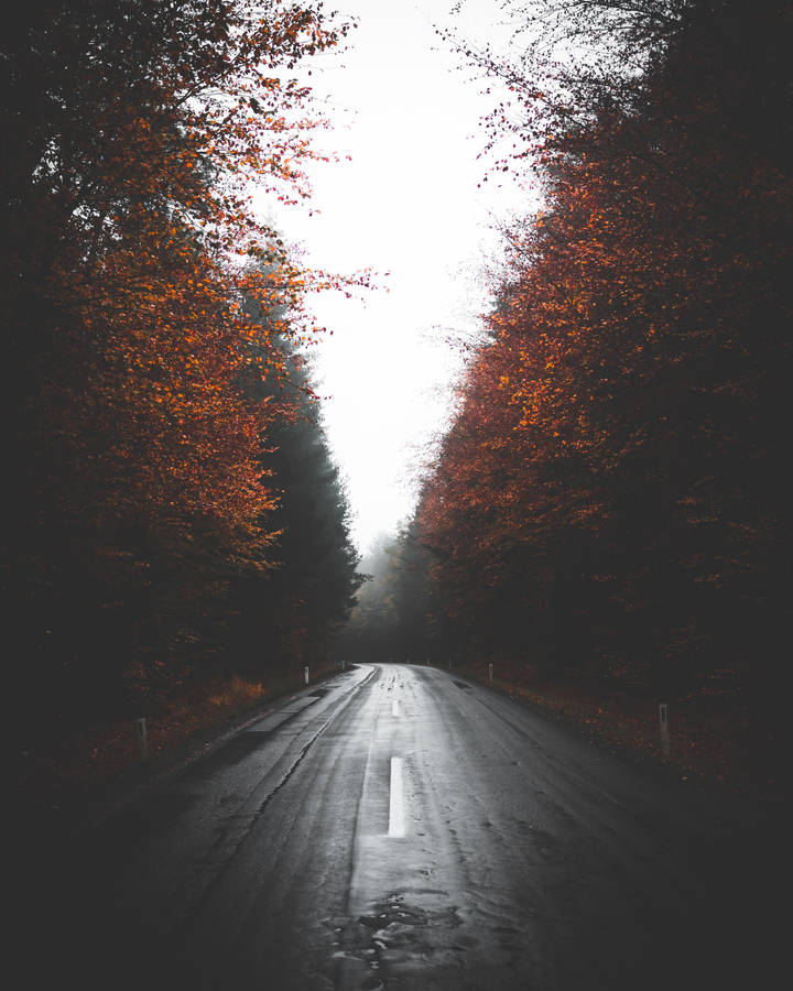 Rainy Road Wallpapers