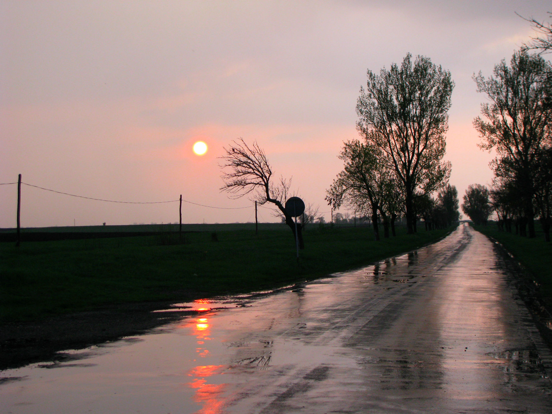 Rainy Road Wallpapers