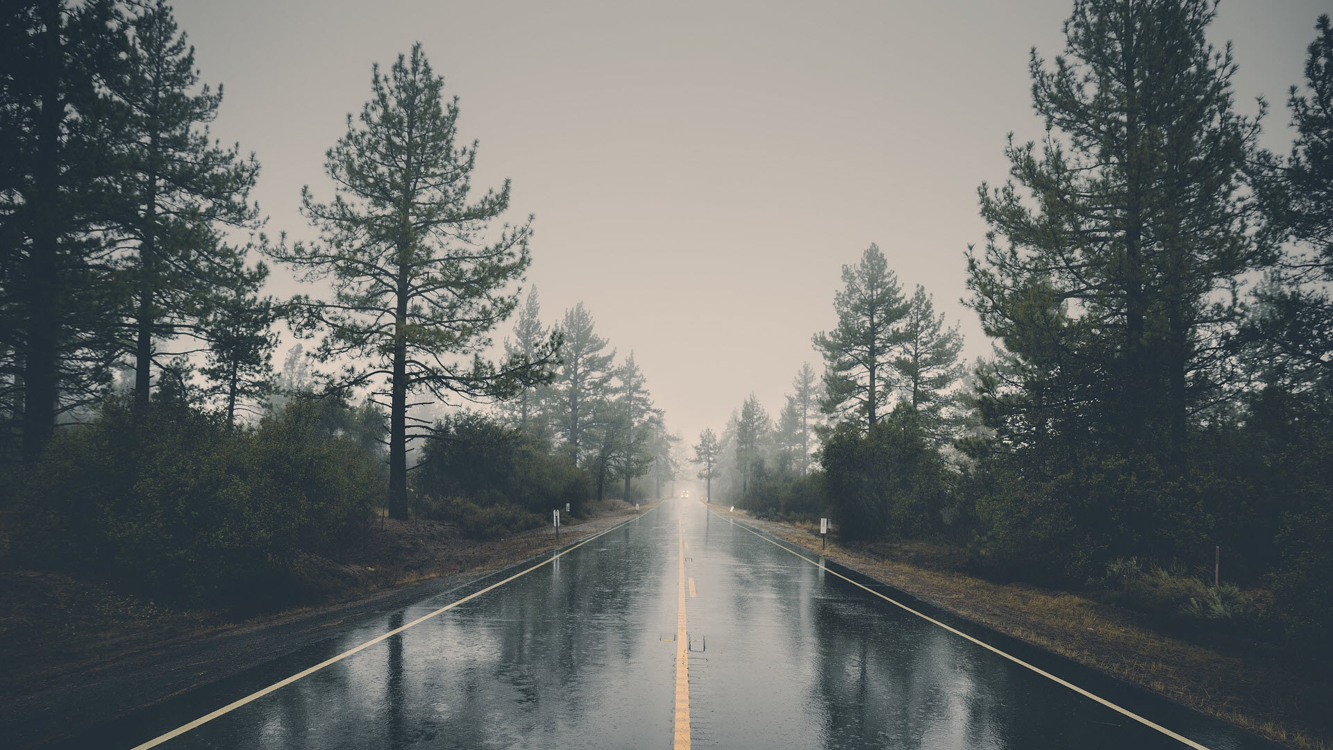 Rainy Road Wallpapers