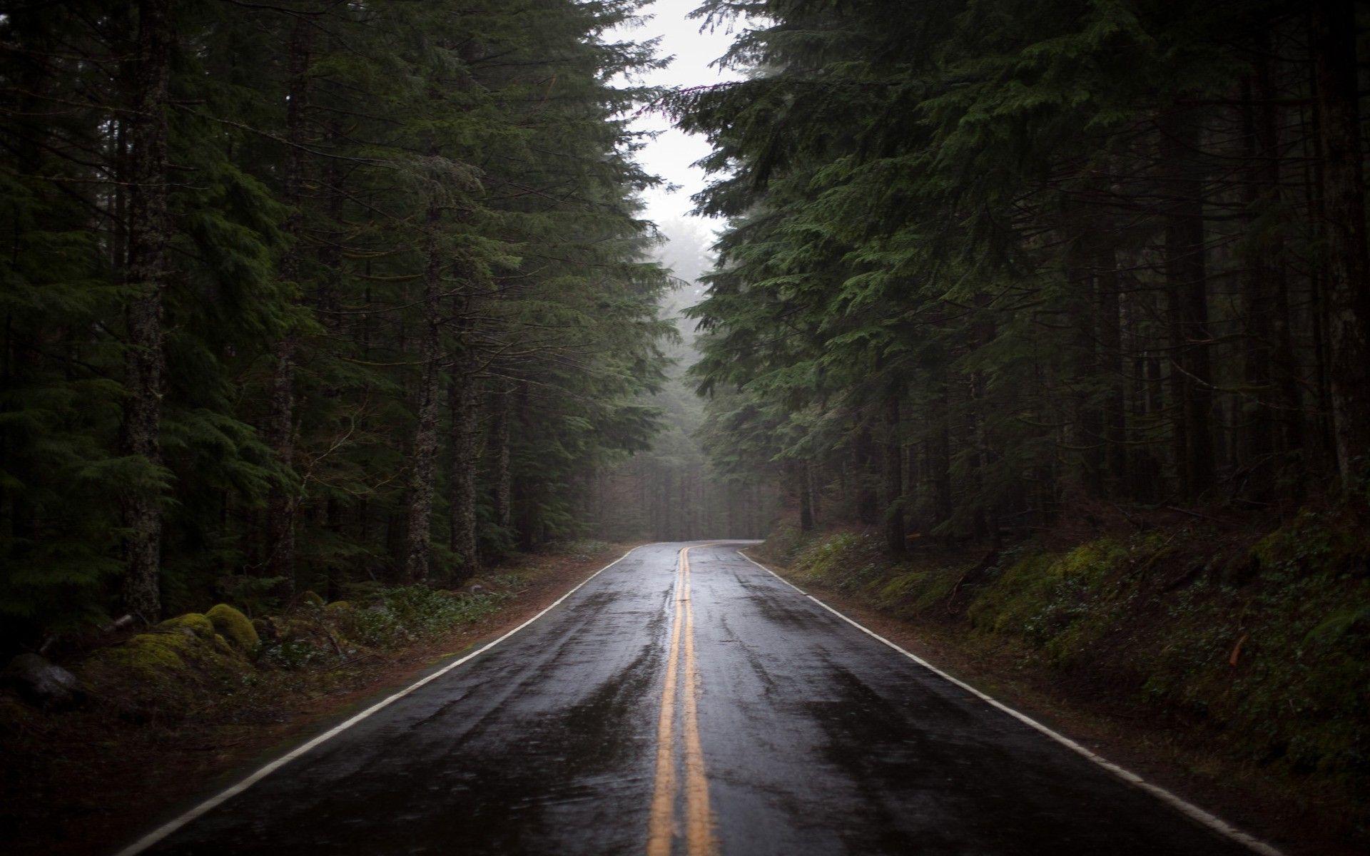 Rainy Road Wallpapers