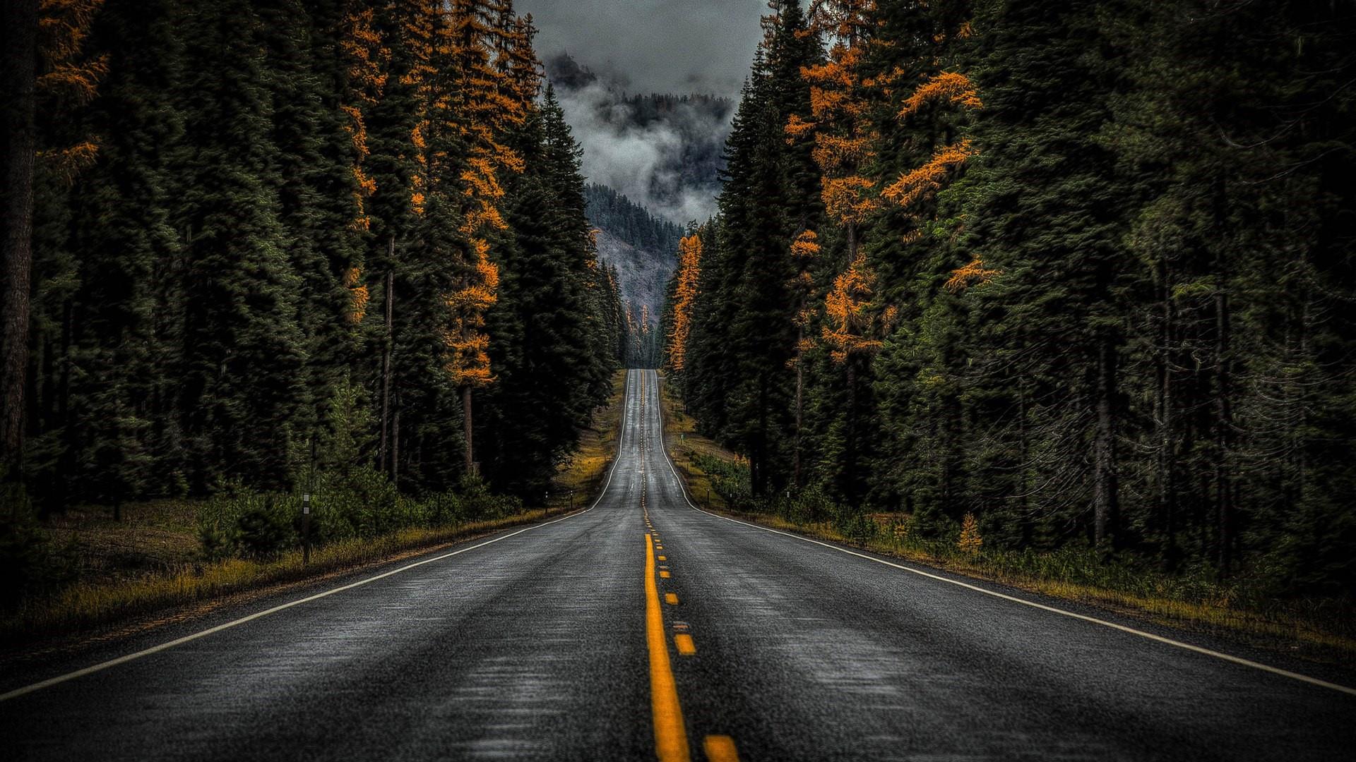 Rainy Road Wallpapers