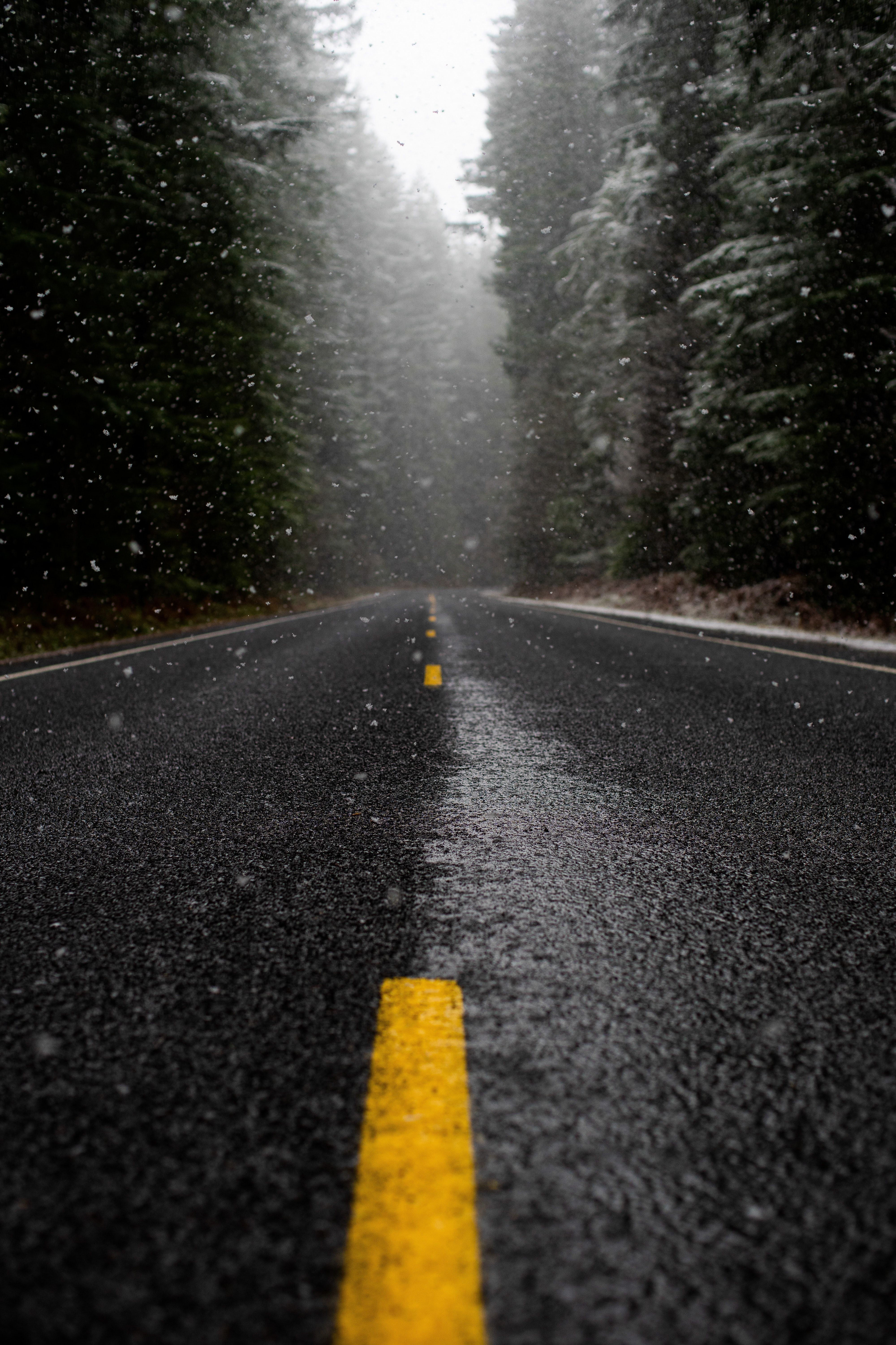 Rainy Road Wallpapers